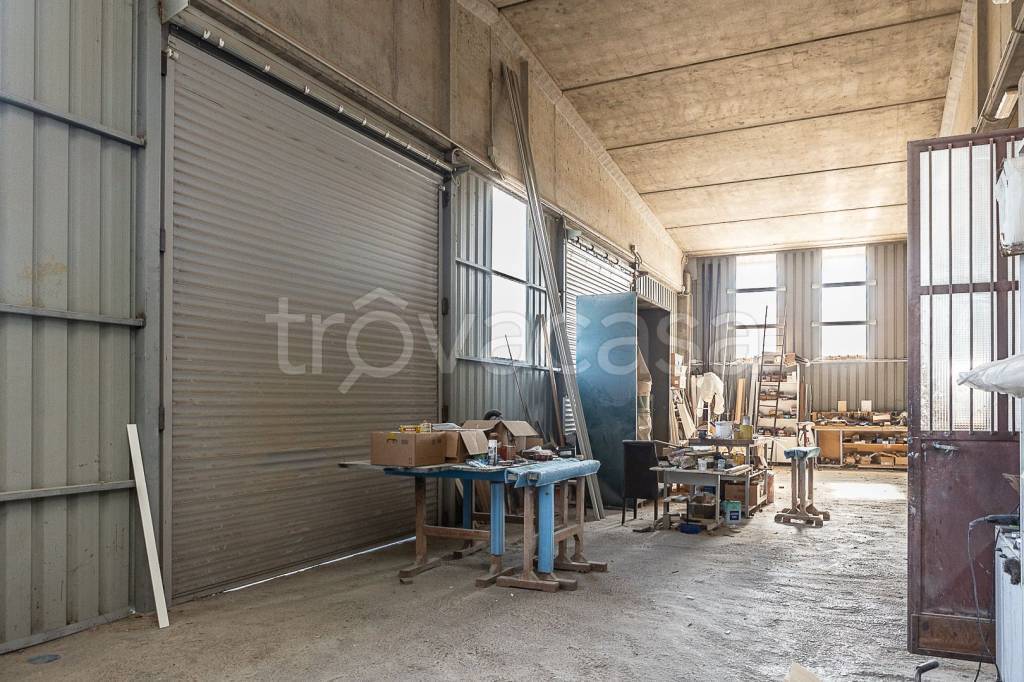 immagine annuncio 11 di 15