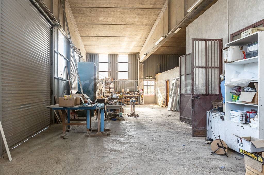 immagine annuncio 12 di 15