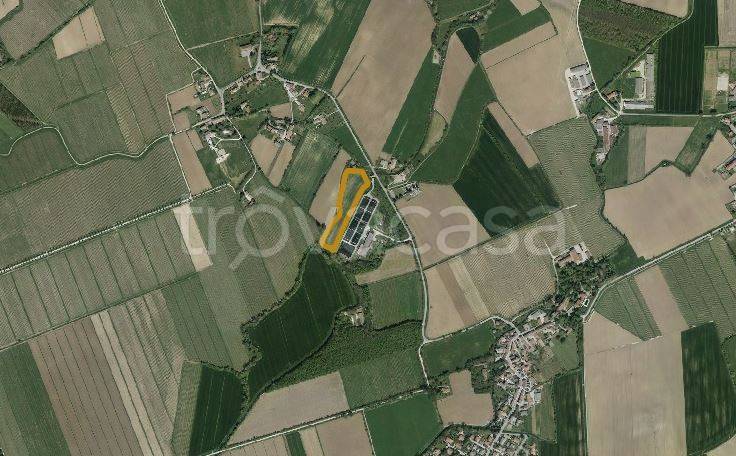 immagine annuncio 4 di 9