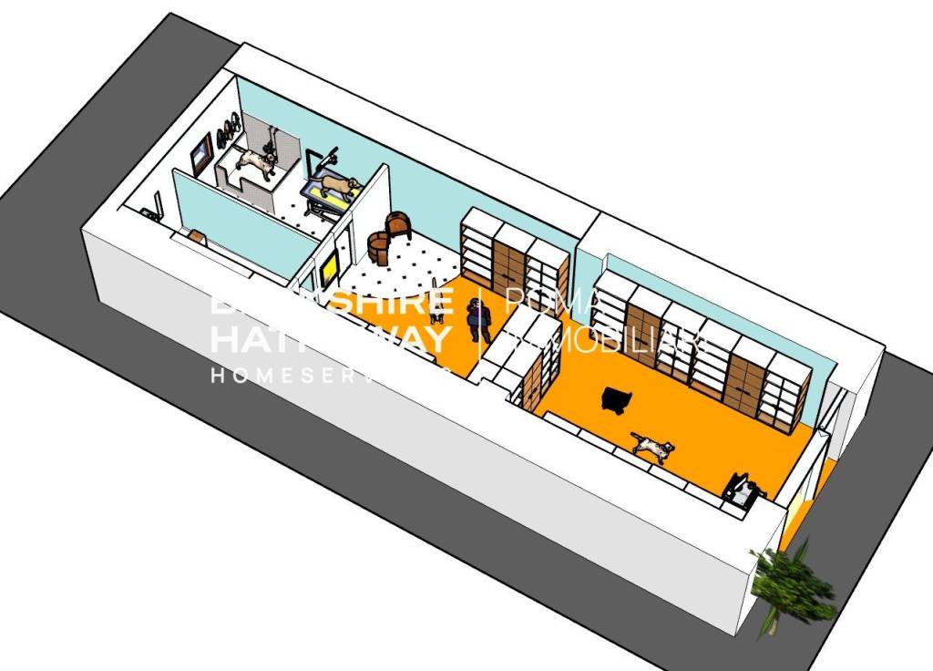 immagine annuncio 3 di 10