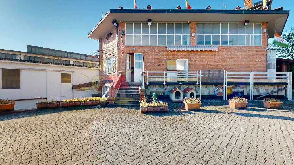 immagine annuncio 10 di 15