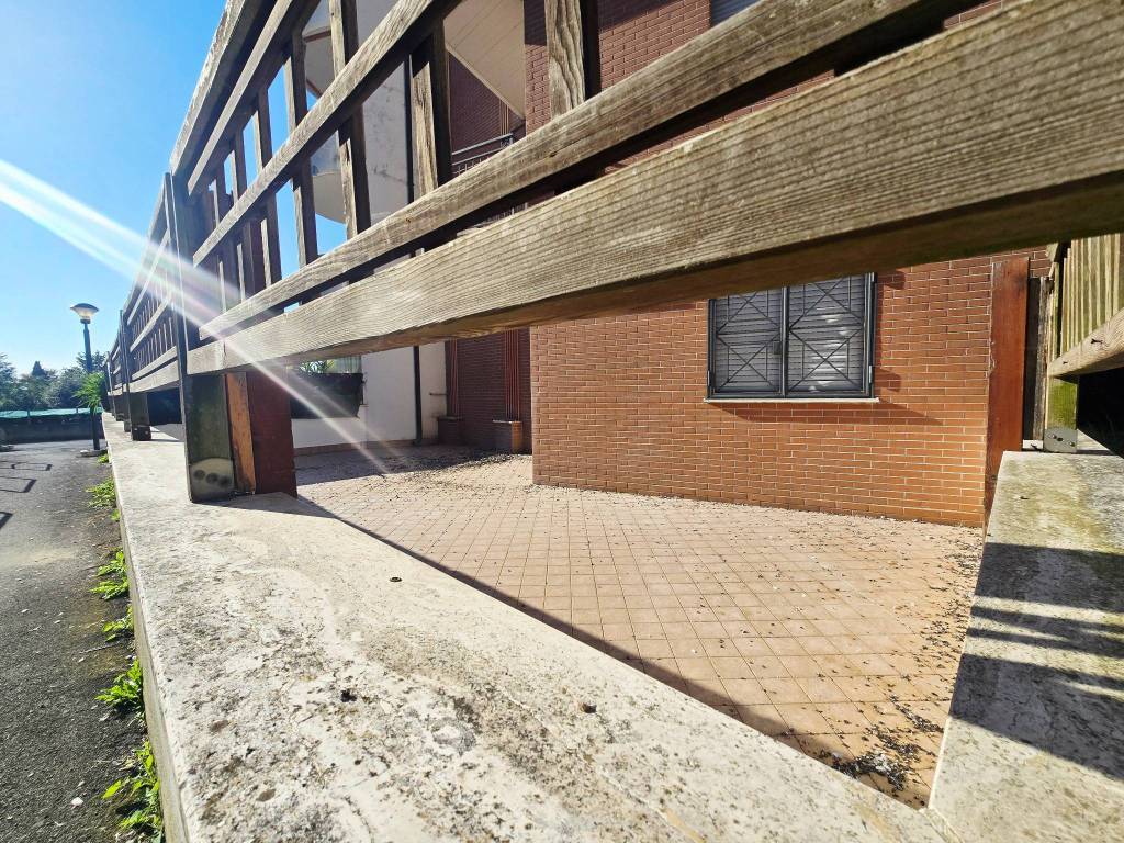 immagine annuncio 9 di 11