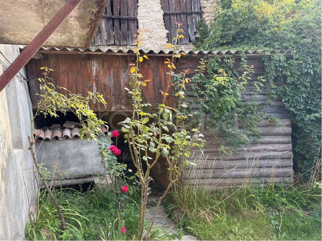 immagine annuncio 1 di 14