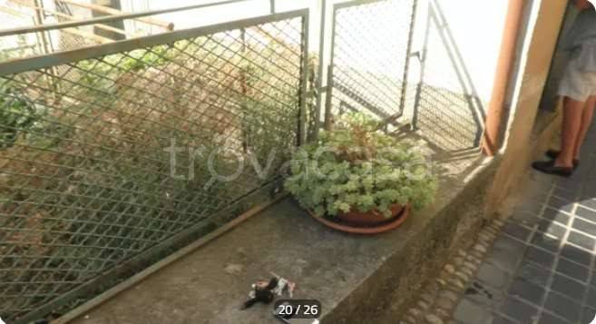 immagine annuncio 3 di 8