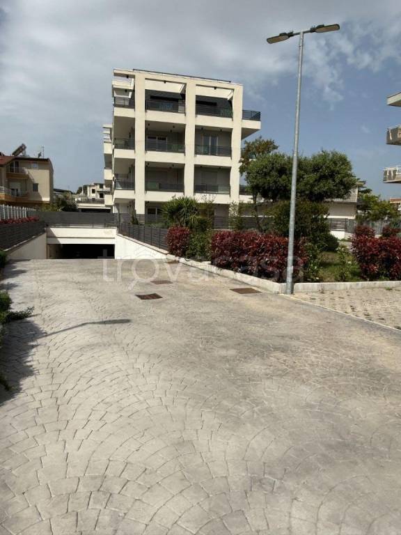 immagine annuncio 9 di 11