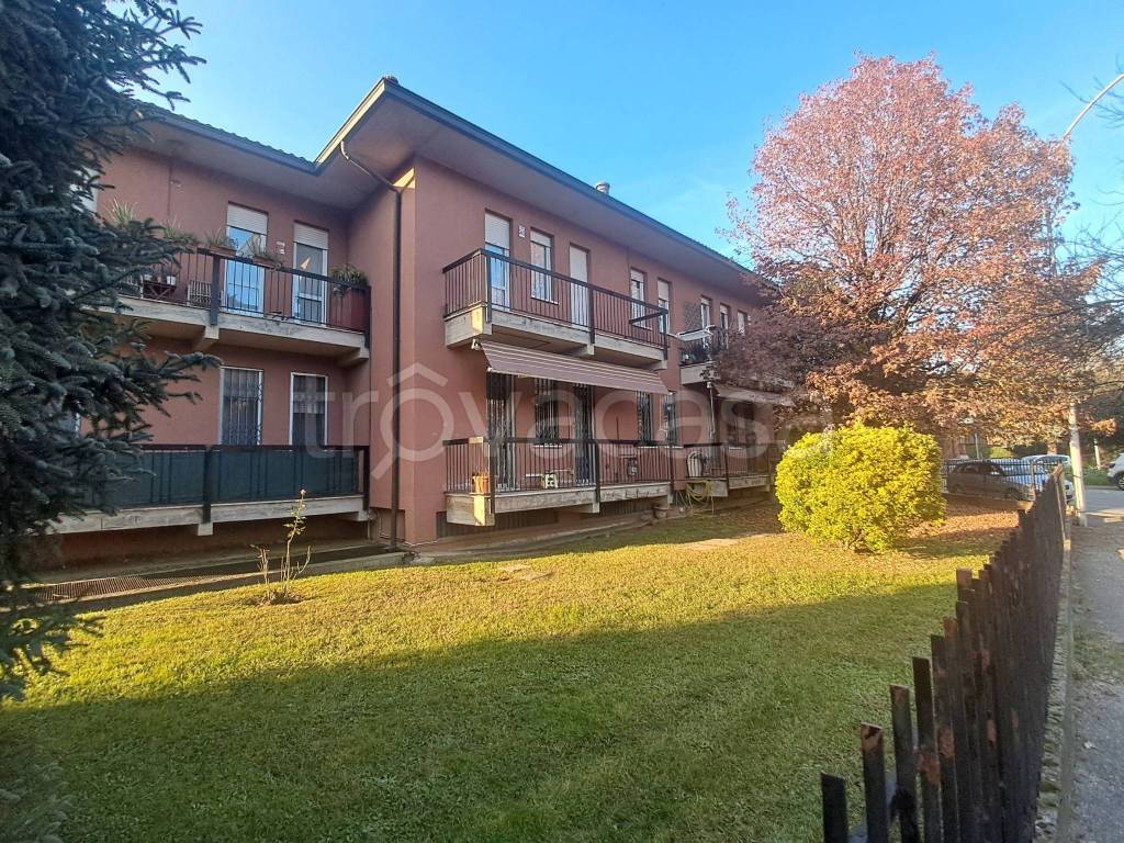 immagine annuncio 5 di 15