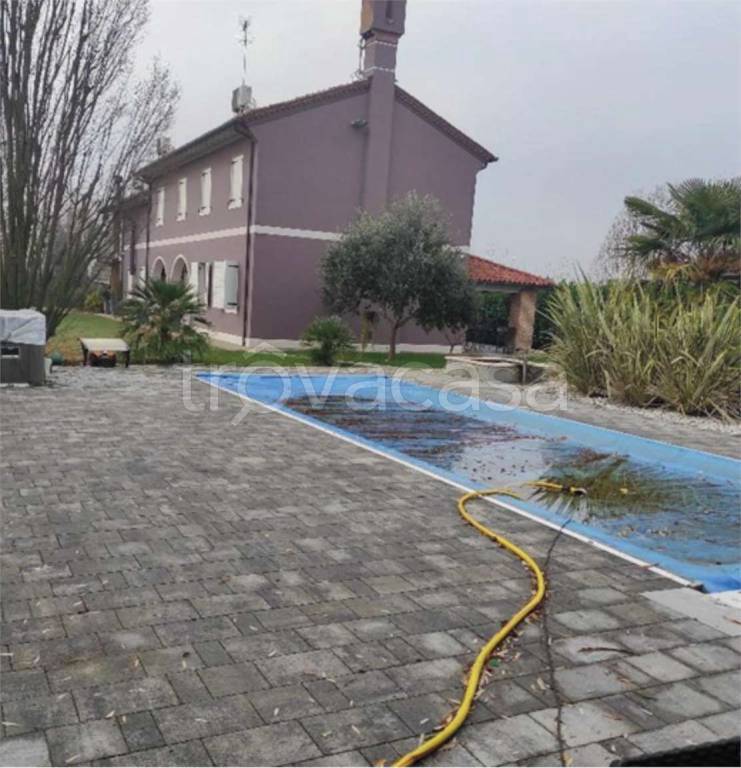 immagine annuncio 3 di 13