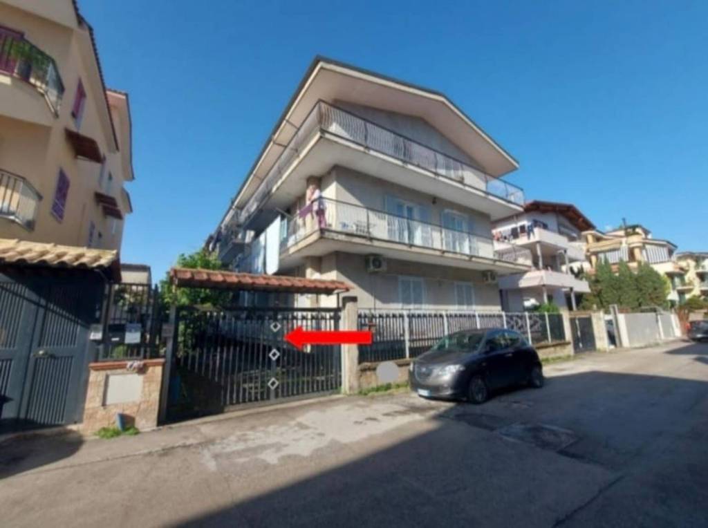 immagine annuncio 9 di 11