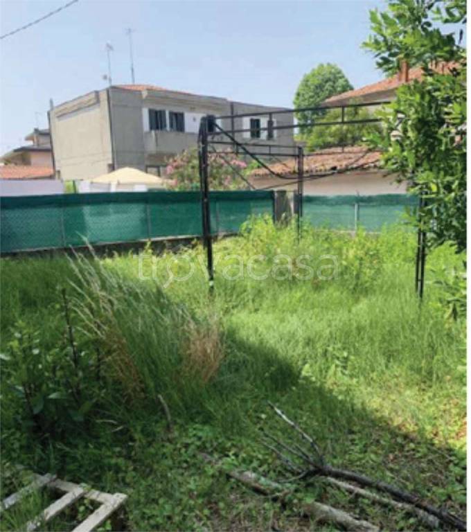 immagine annuncio 6 di 14