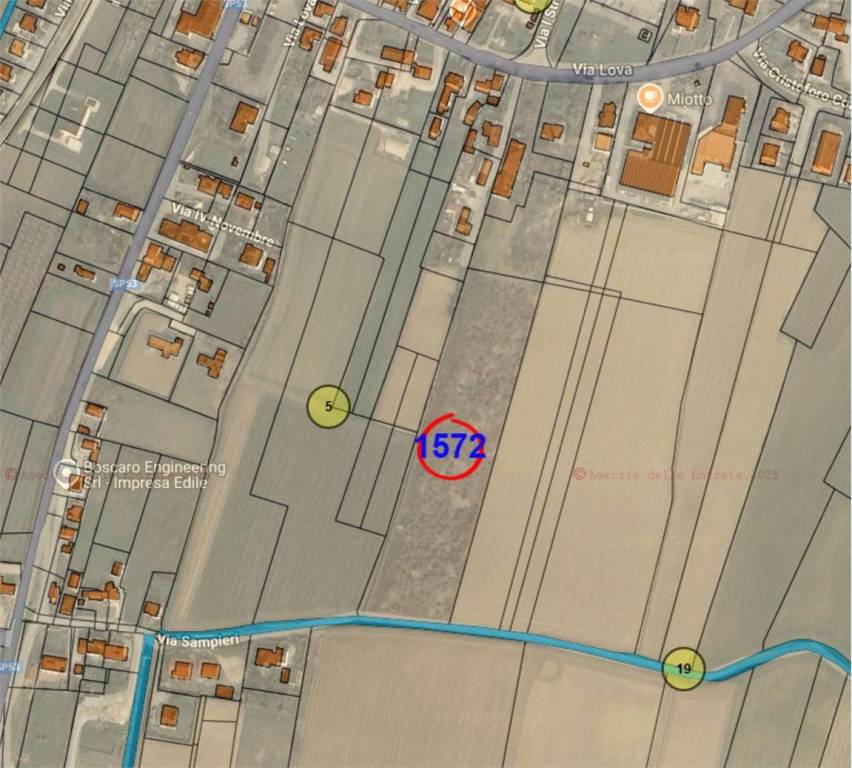 immagine annuncio 6 di 12