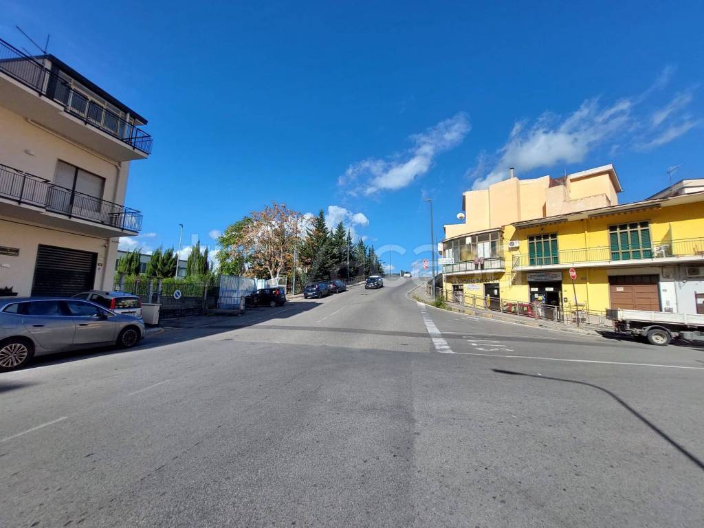 immagine annuncio 2 di 12