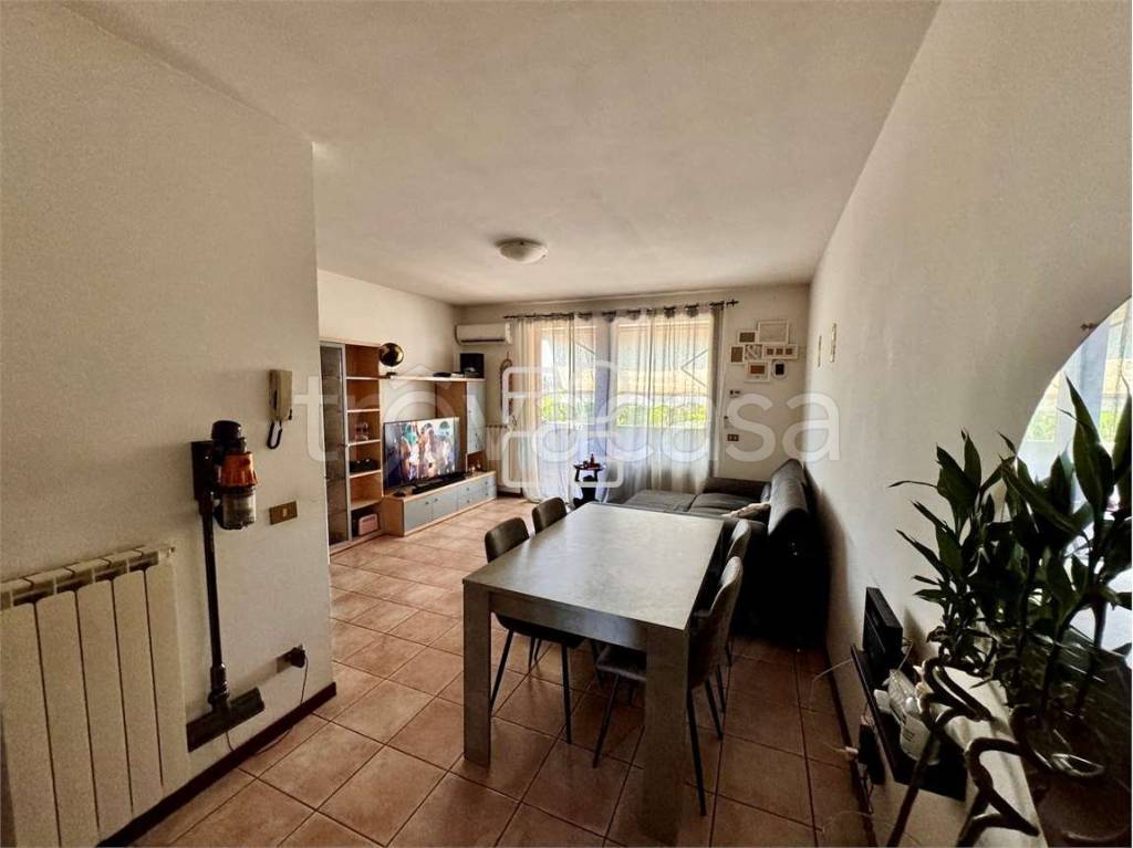 immagine annuncio 3 di 12