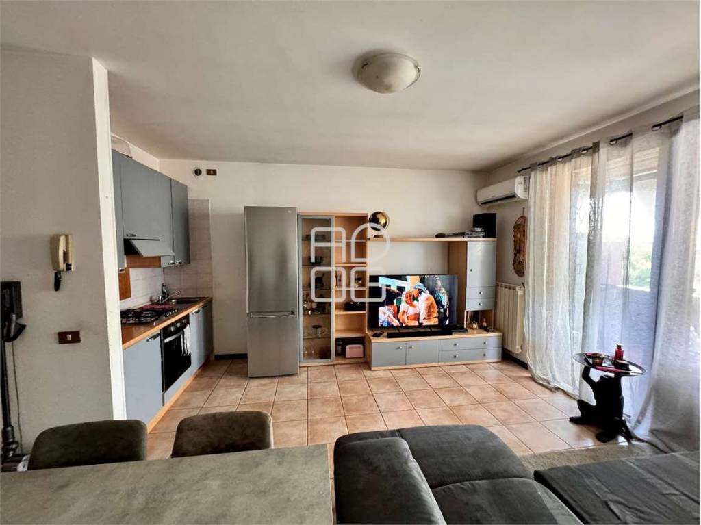 immagine annuncio 4 di 12