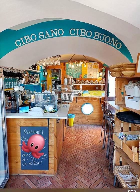 immagine annuncio 4 di 14