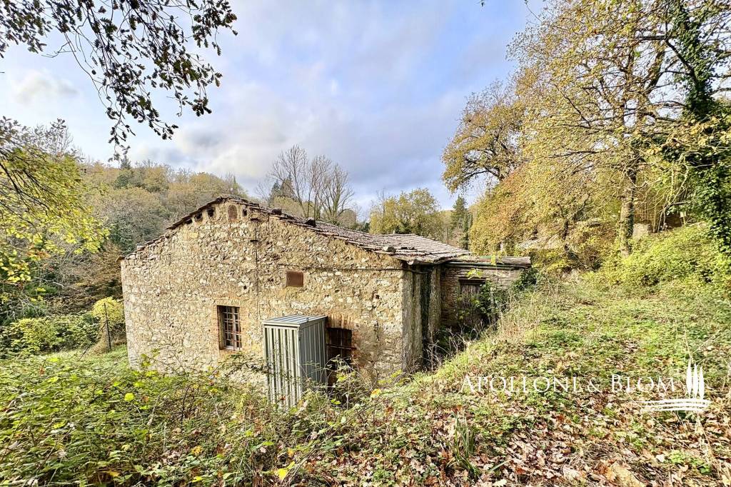 immagine annuncio 12 di 15