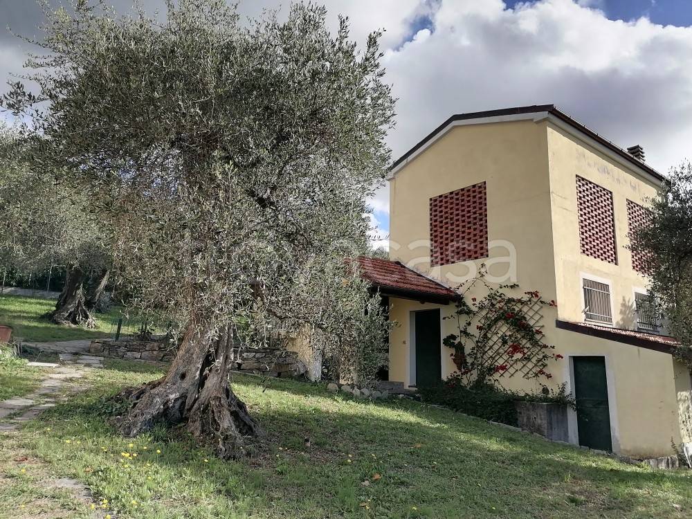 immagine annuncio 9 di 12