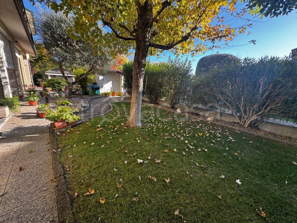 immagine annuncio 8 di 13