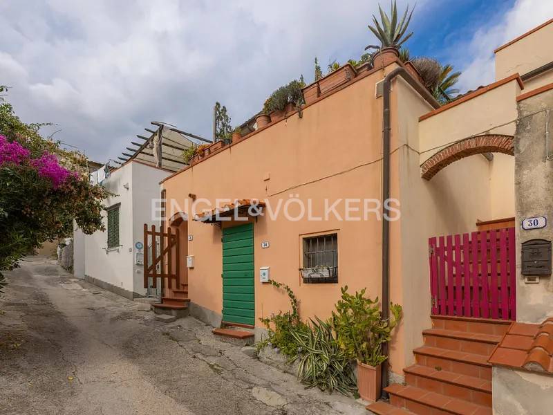 immagine annuncio 6 di 11