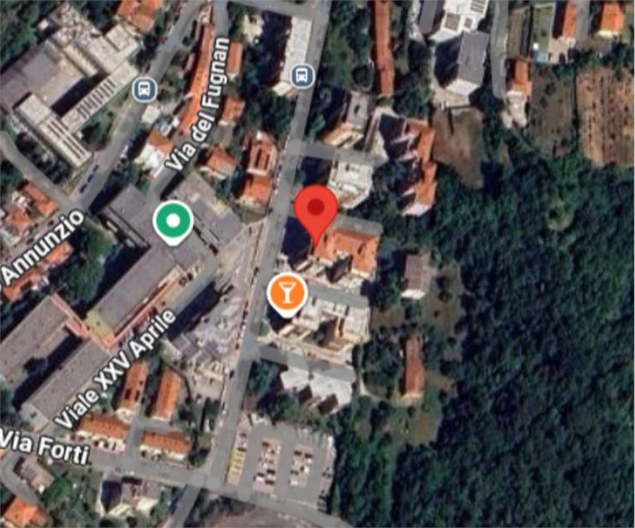 immagine annuncio 10 di 13