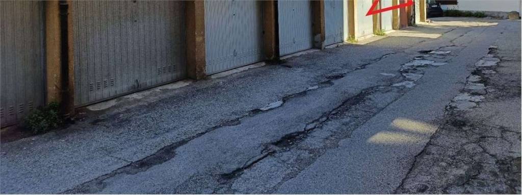 immagine annuncio 12 di 14