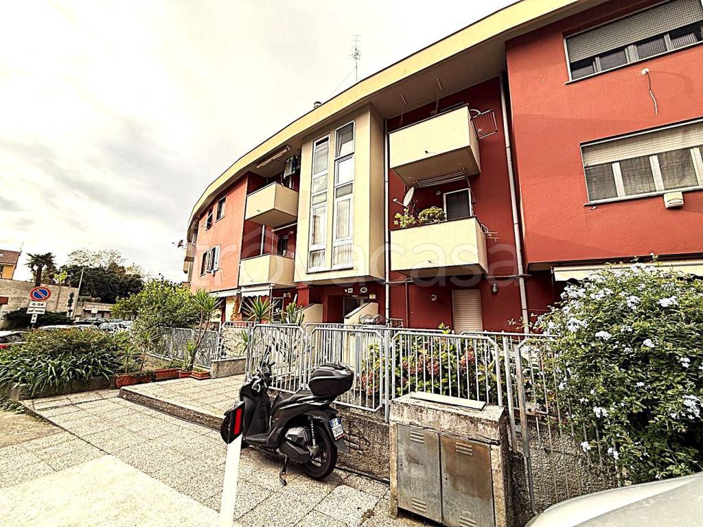 immagine annuncio 1 di 15