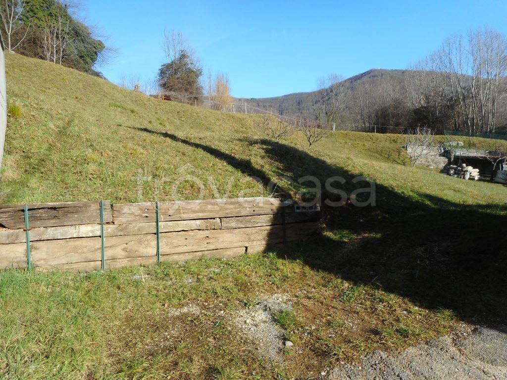 immagine annuncio 5 di 6