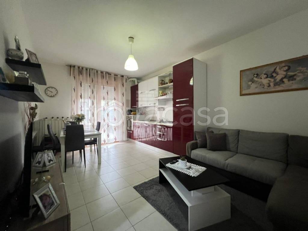 immagine annuncio 5 di 13