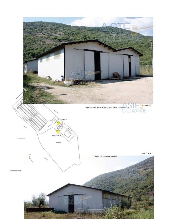 immagine annuncio 9 di 15