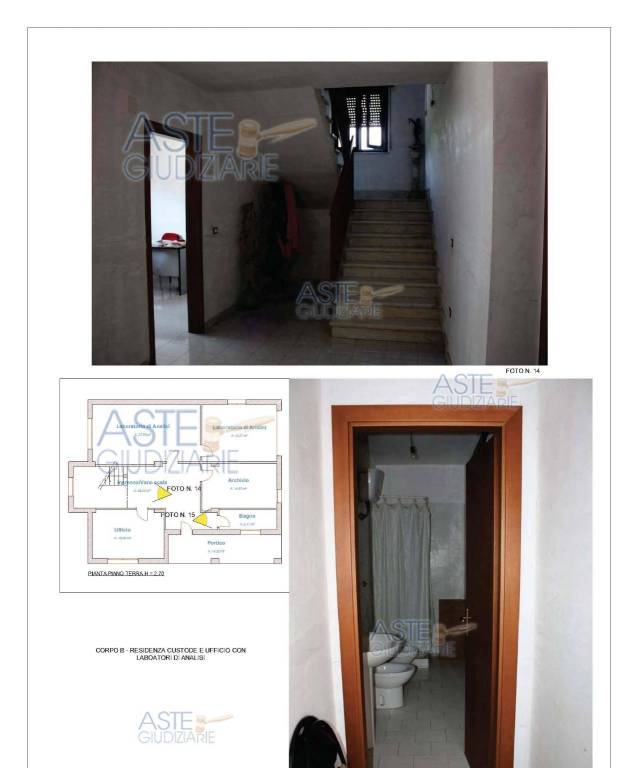 immagine annuncio 10 di 15