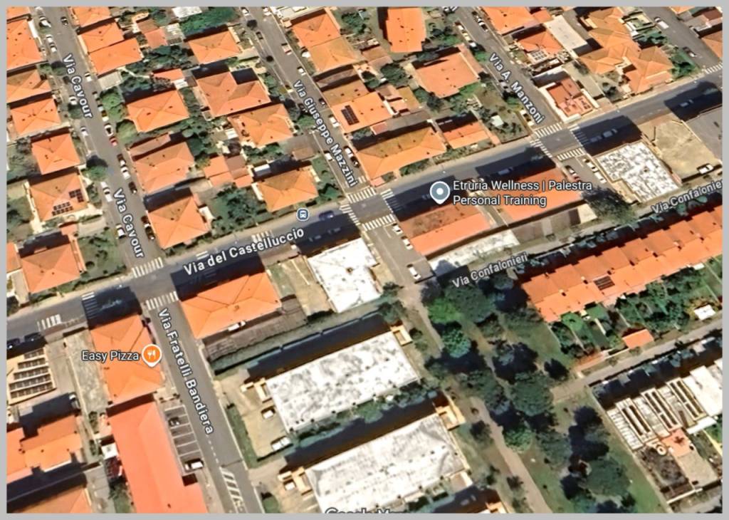 immagine annuncio 9 di 15