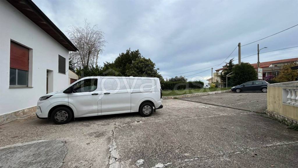 immagine annuncio 1 di 11