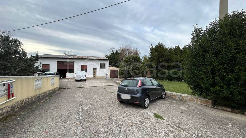 immagine annuncio 2 di 11