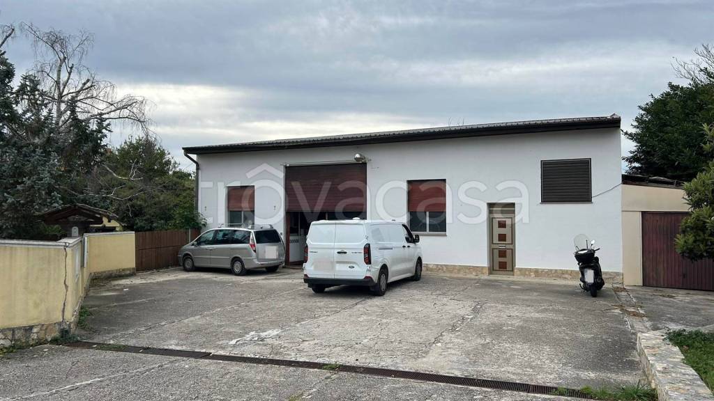 immagine annuncio 3 di 11