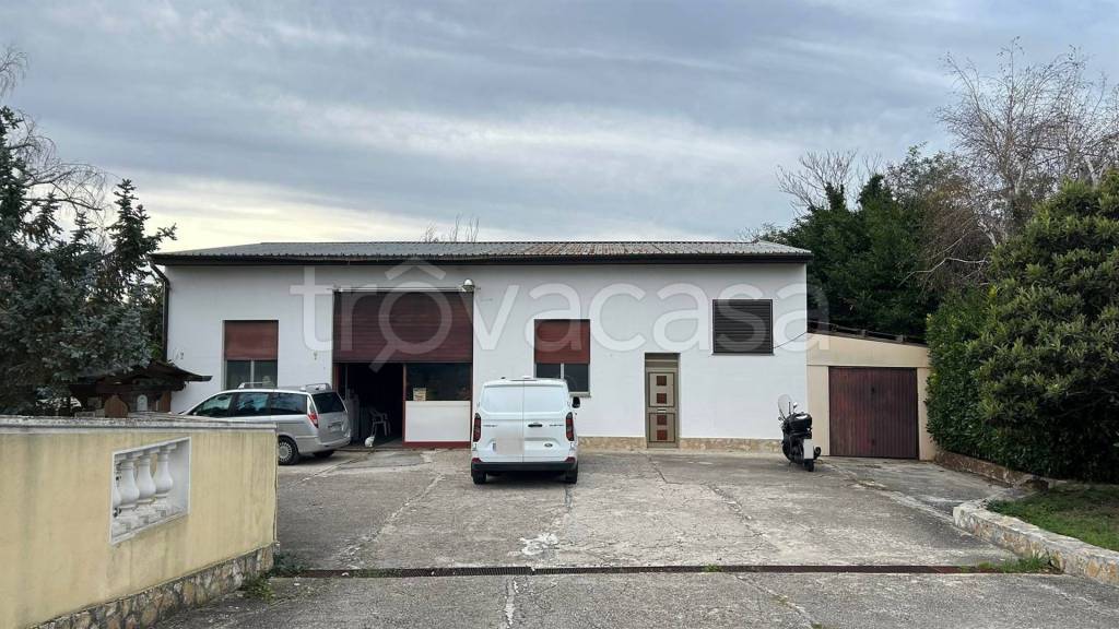 immagine annuncio 4 di 11