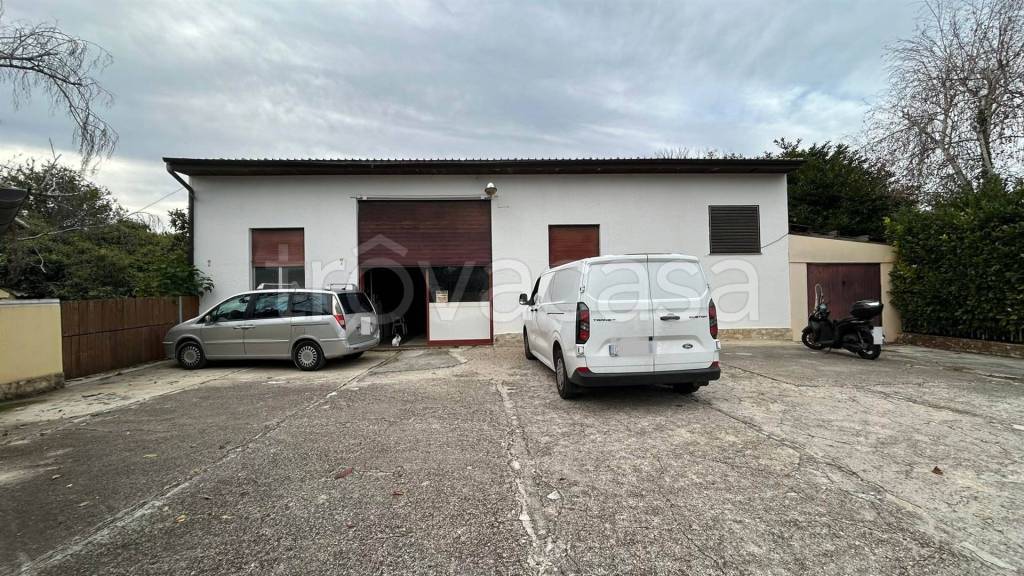 immagine annuncio 6 di 11