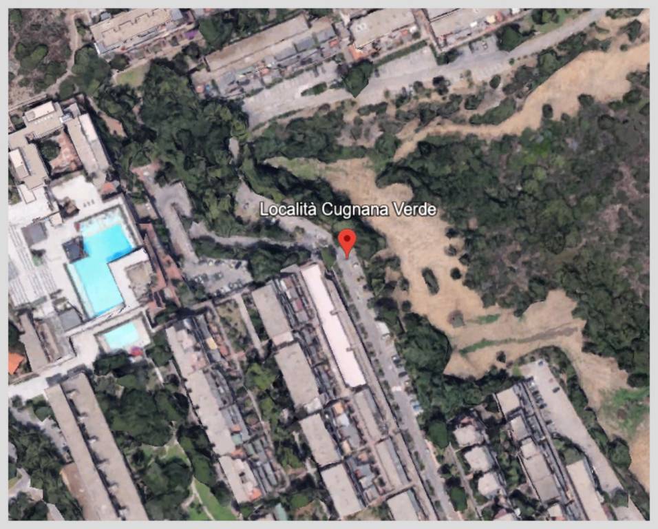 immagine annuncio 12 di 15