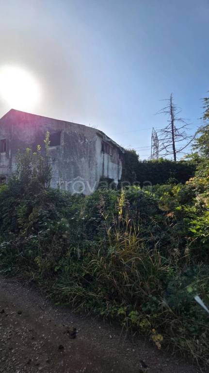 immagine annuncio 3 di 6