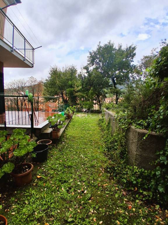 immagine annuncio 3 di 12