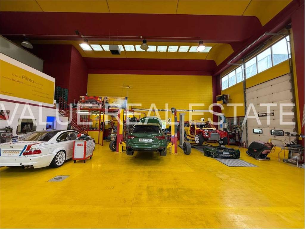 immagine annuncio 3 di 15