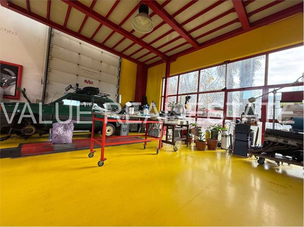 immagine annuncio 4 di 15