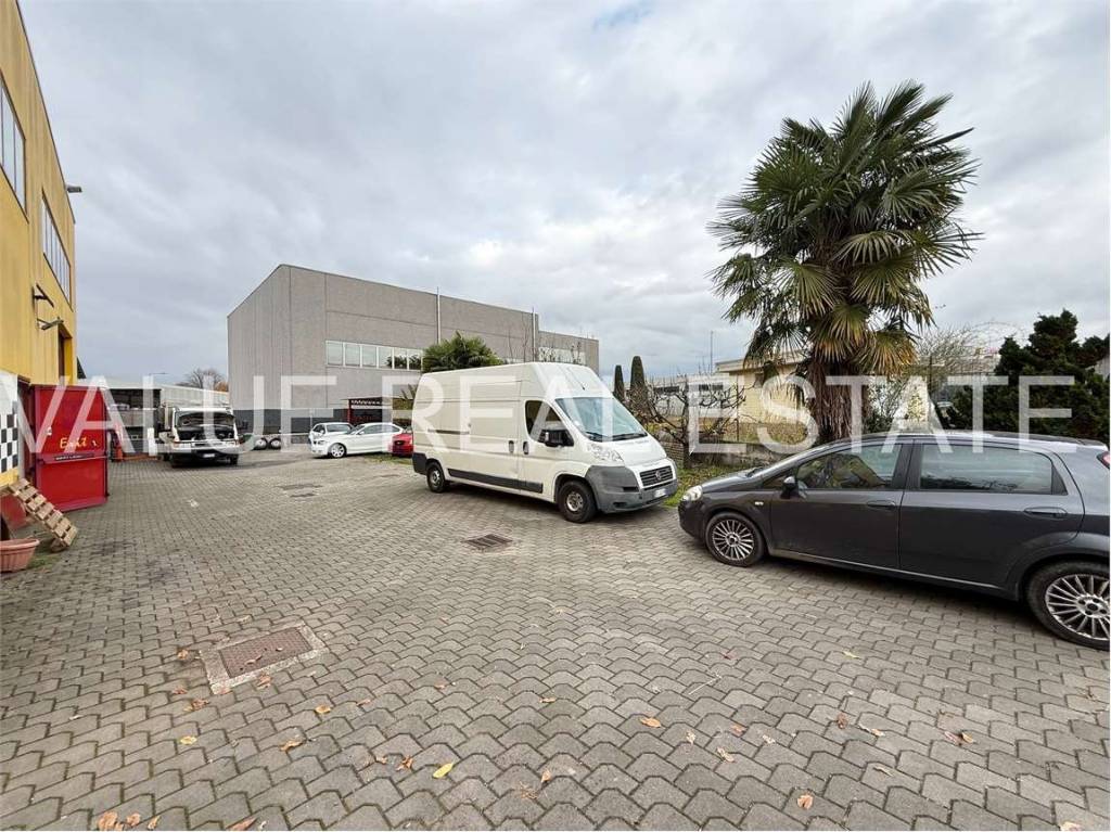 immagine annuncio 11 di 15