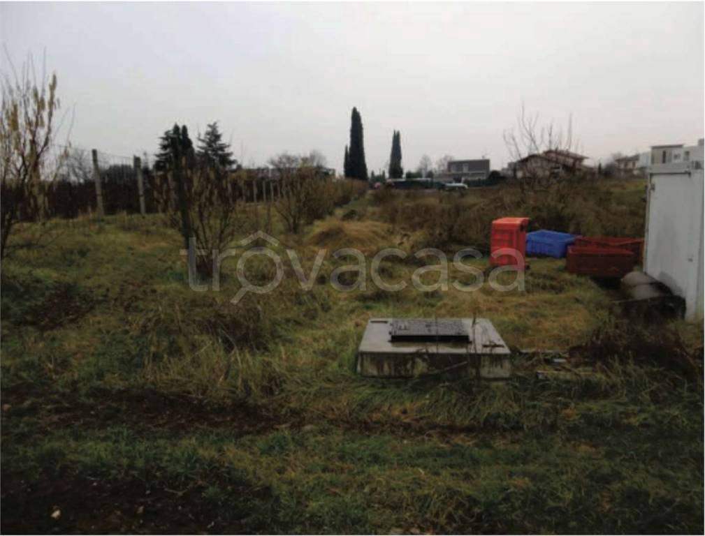 immagine annuncio 5 di 13