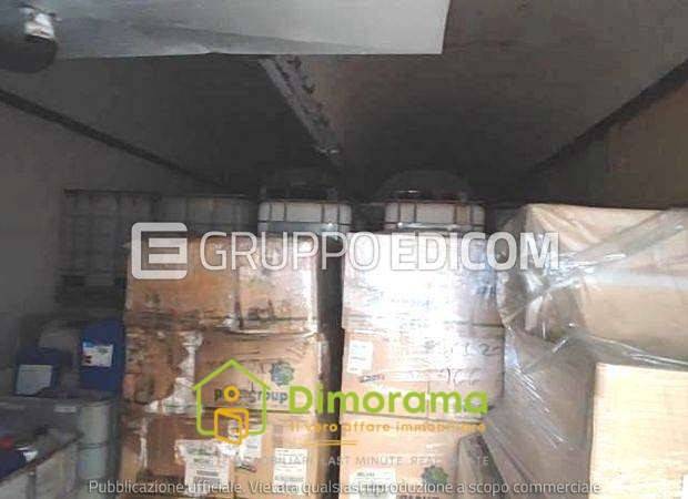 immagine annuncio 10 di 15