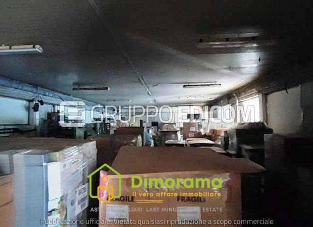 immagine annuncio 12 di 15