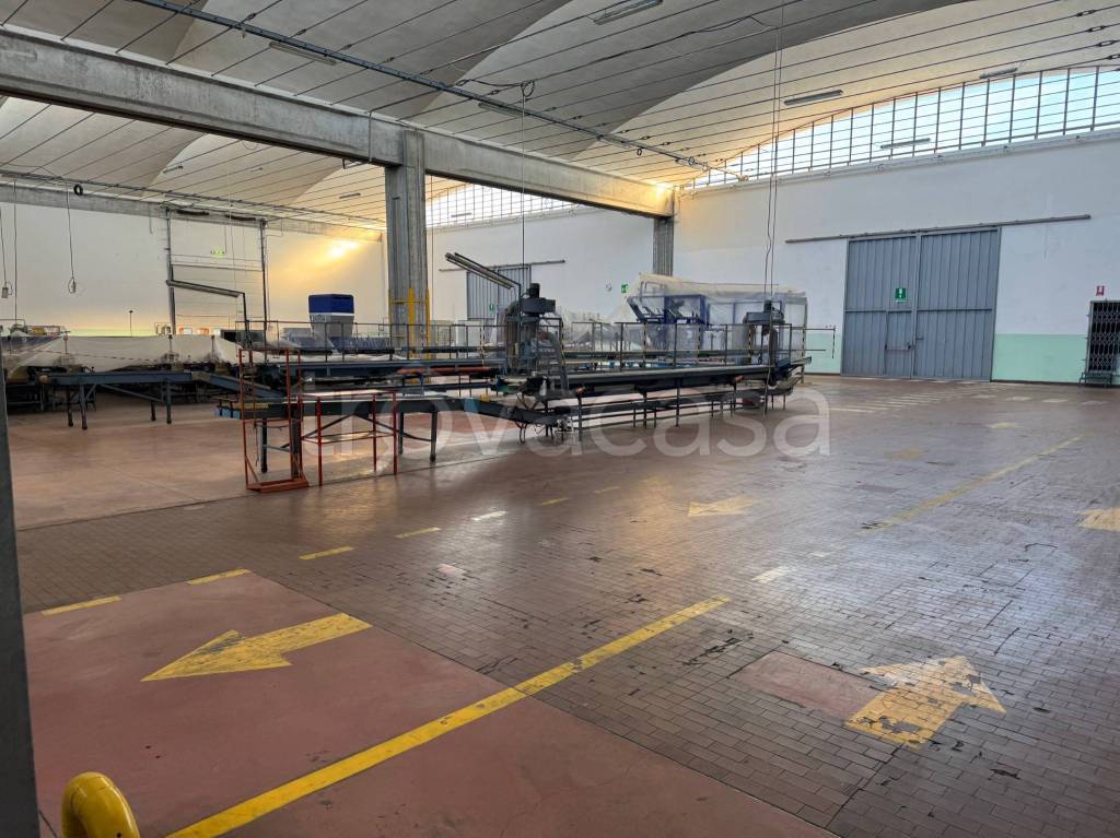 immagine annuncio 2 di 4