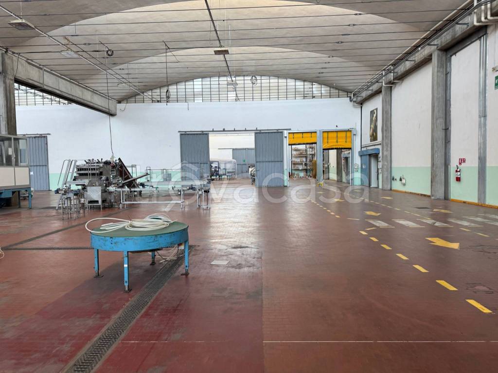 immagine annuncio 3 di 4