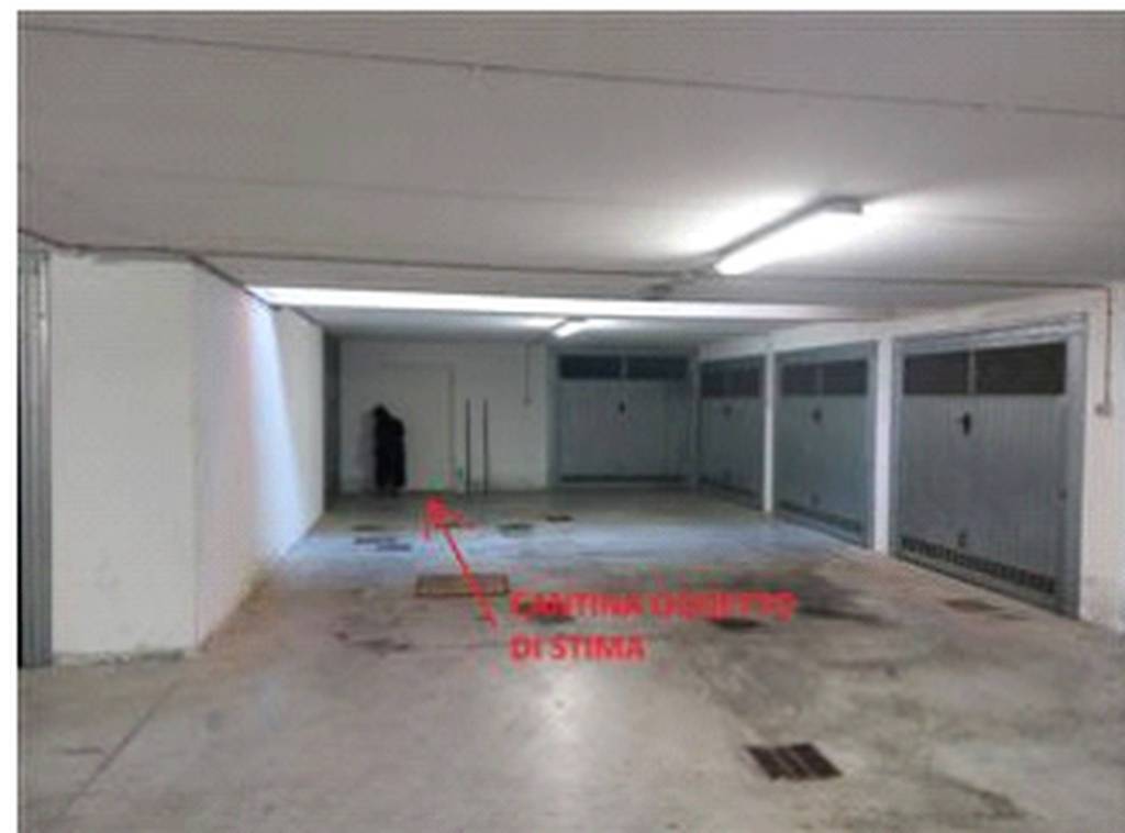 immagine annuncio 3 di 12