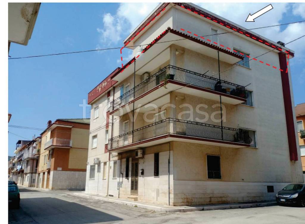 immagine annuncio 2 di 12