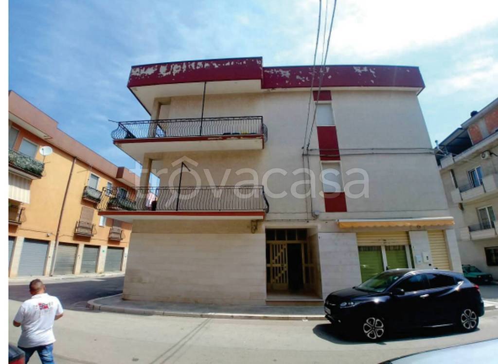 immagine annuncio 3 di 12