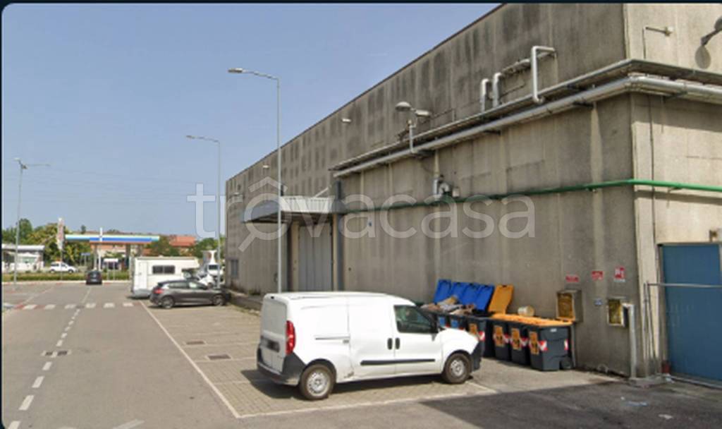 immagine annuncio 6 di 11